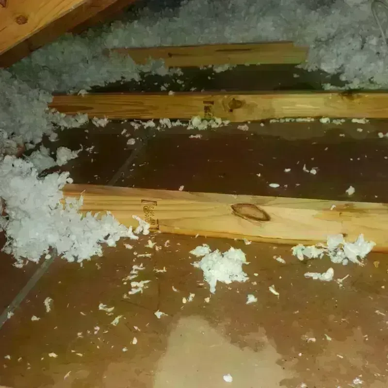 Attic Water Damage in Estacada, OR